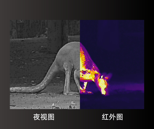 maidiantu-01zhongwen-1