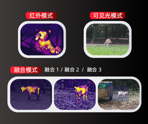 maidiantu-05zhongwen-2