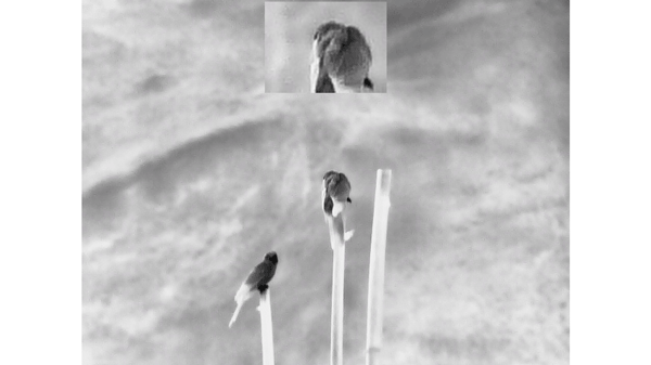 tupian5-426-3 tupian5-426-3