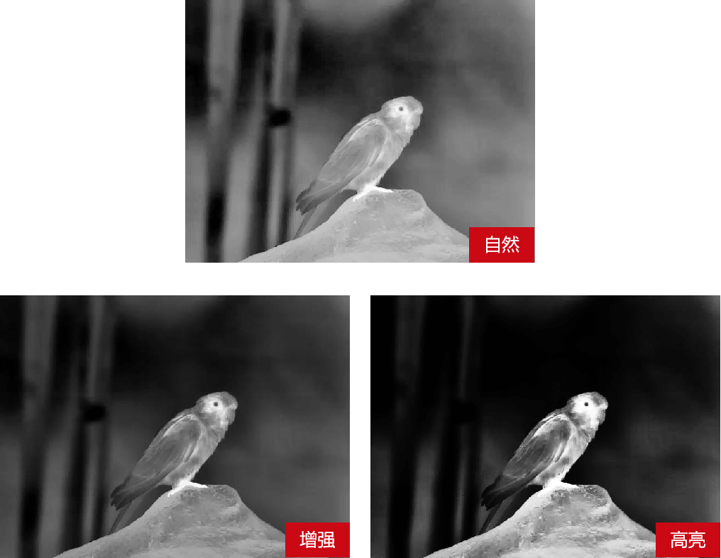 tupian8-744 tupian8-744